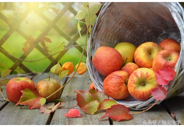 平安夜苹果选哪种好,平安夜苹果好卖吗