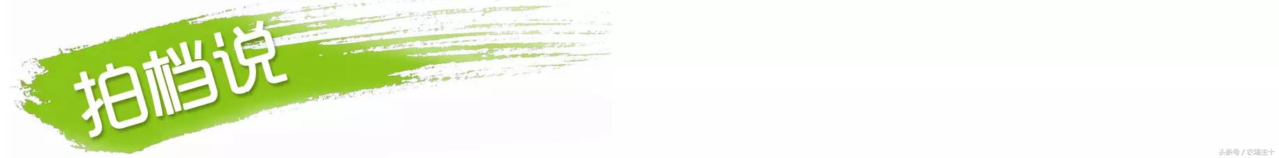 休闲农庄7大盈利模式,休闲农庄有什么前景吗