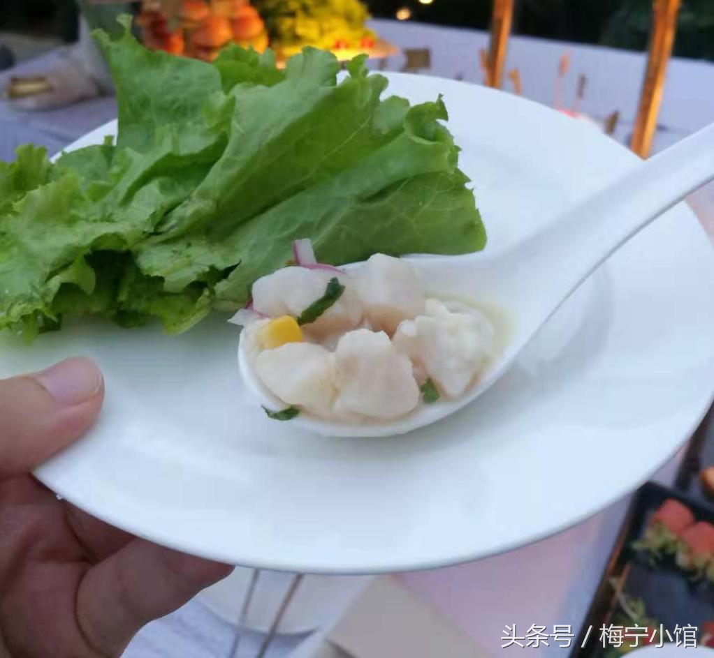 Salud~!秘鲁大使馆皮斯科之夜