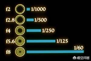 单反相机基本按键和实际拍摄,单反相机快门怎么按