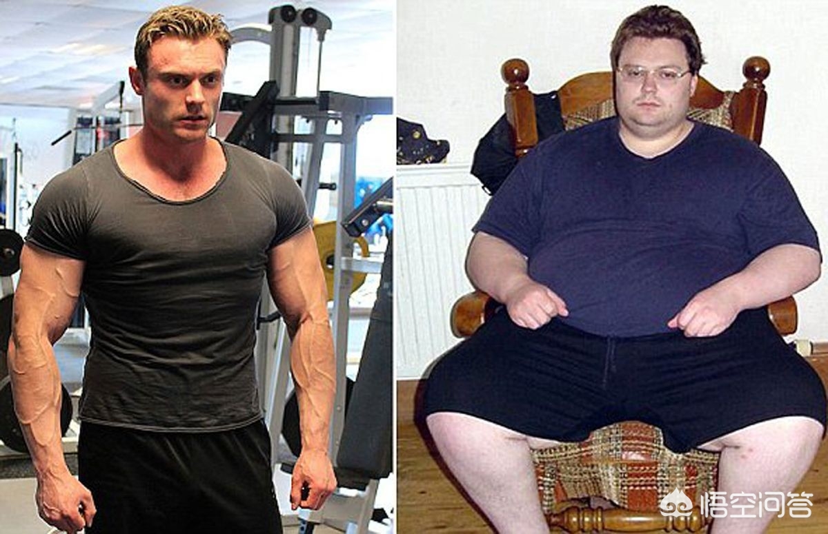 脂肪是怎么排出体外的动画,内脏脂肪是怎么排出体外的