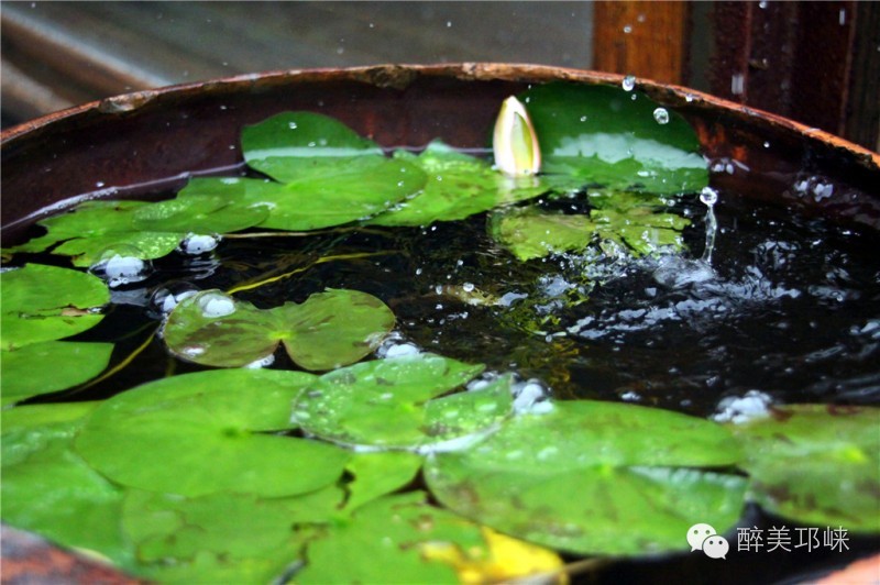 邛崃值得去的地方,邛崃好耍的风景区
