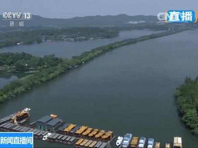 去不了杭州就来杯龙井,去不了杭州