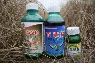 误服农药百草枯还有救吗？