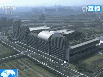 去不了杭州就来杯龙井,去不了杭州