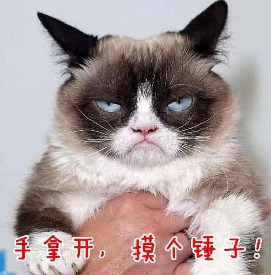 四川人为什么爱说锤子,四川人为什么老是说锤子