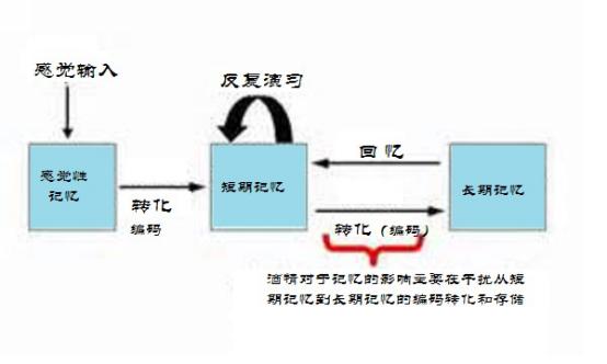 喝酒断片儿是怎么一回事,喝酒断片儿伤害大脑吗