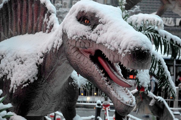 寒潮来袭全省将迎来断崖式降温,20多省份遭寒潮速冻降温超10度