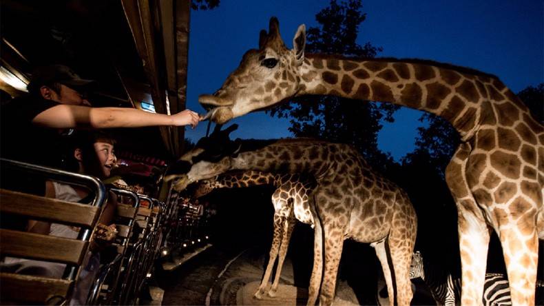 第一次去泰国带多少钱比较合适,一家人一起去泰国旅游注意什么