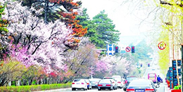 全国唯一一个叫长春的城市,长春是怎样的一座城市