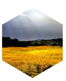 全国唯一一个叫长春的城市,长春是怎样的一座城市