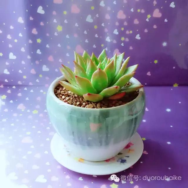 入坑就不能自拔,入坑后无法自拔