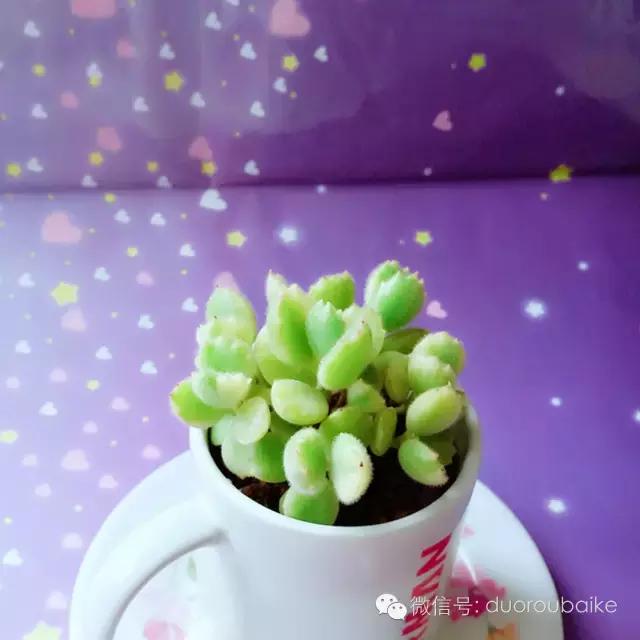 入坑就不能自拔,入坑后无法自拔