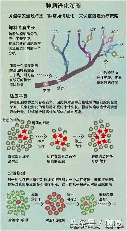 科普肿瘤的慢性病治疗模式,肿瘤耐药的研究方法