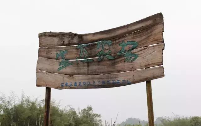 重庆周边钓鱼温泉看花的农家乐,重庆大学城附近包食宿的农家乐