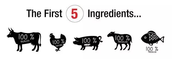 如何选正确狗狗粮,选好狗狗的六种技巧