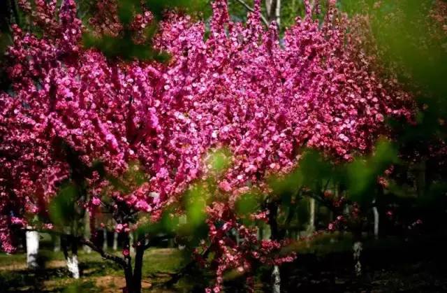 河北这座二线城市，他的名片你请收下！