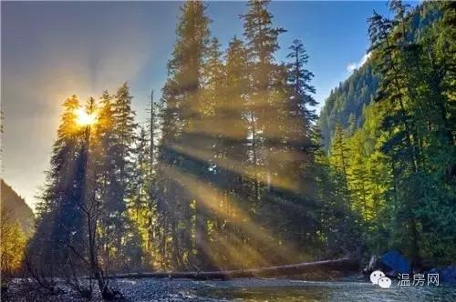 温哥华劳斯莱斯,温哥华买劳斯莱斯视频