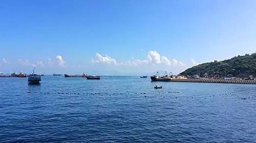 外伶仃岛岸边钓点,外伶仃岛钓鱿鱼钓点