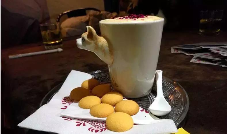 猫咪咖啡馆哪家最好,武汉有哪些猫咪咖啡厅