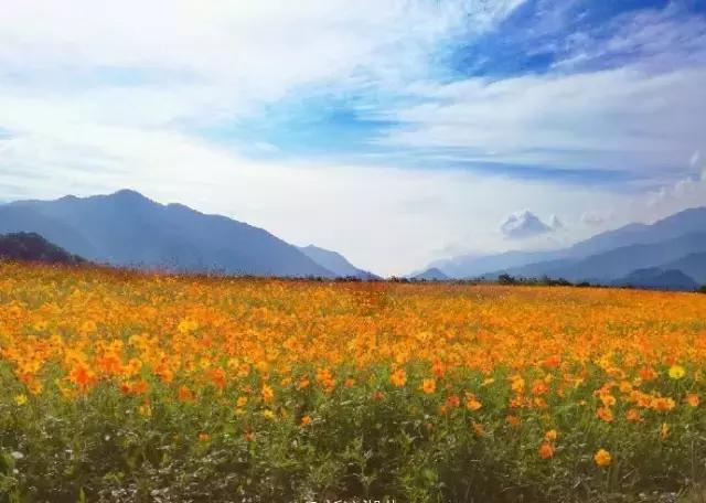 游玩情报站,旅途最新情报