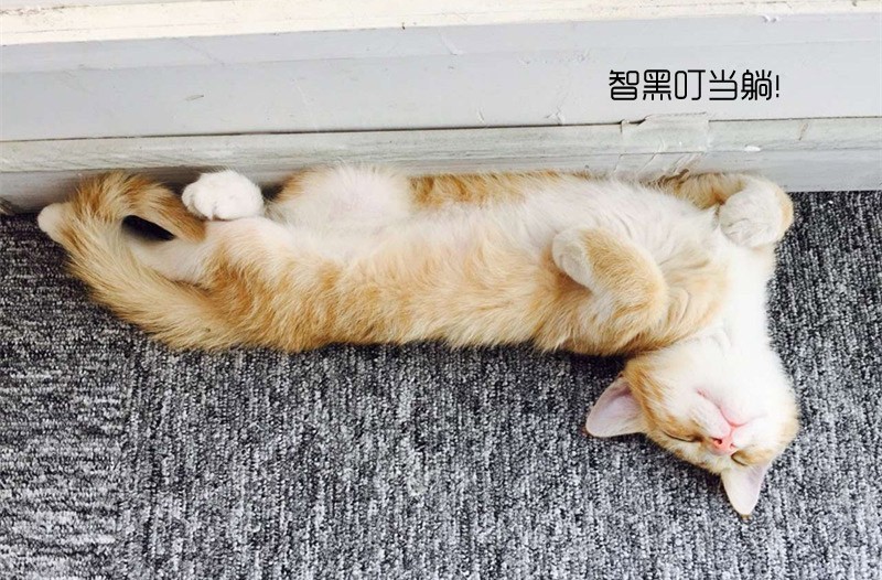 华工校友强大,90年代的华工校园