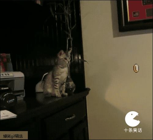 关于被绿的段子笑话,爆笑段子说别人被绿了