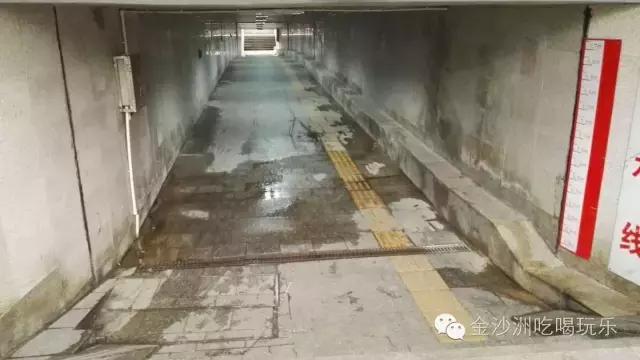 金沙洲哪里有水浸,金沙洲水浸吗