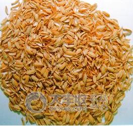 柑橘贮藏保鲜技术与步骤简介图,柑橘摘果后如何保管