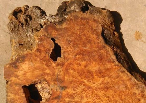 崖柏满瘤茶盘,瘤疤崖柏茶盘