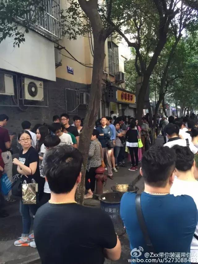 金味栗子,金味栗子几月开始卖