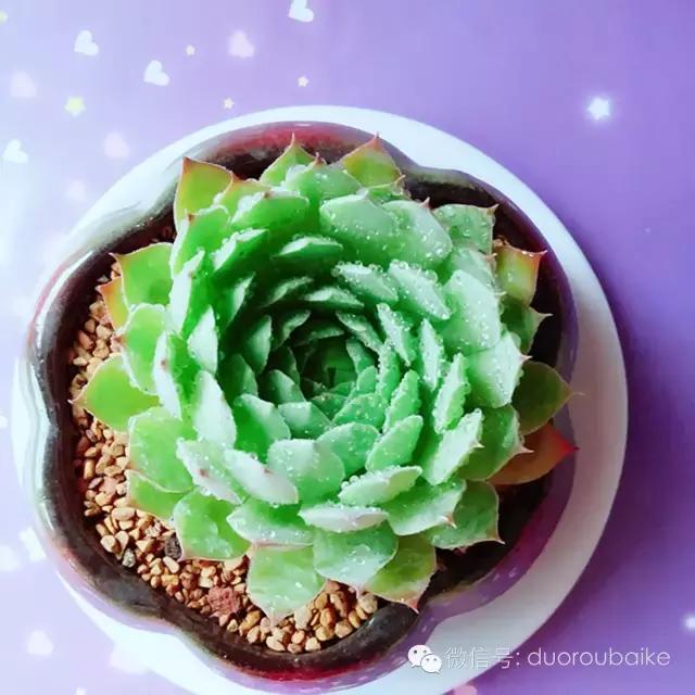 入坑就不能自拔,入坑后无法自拔