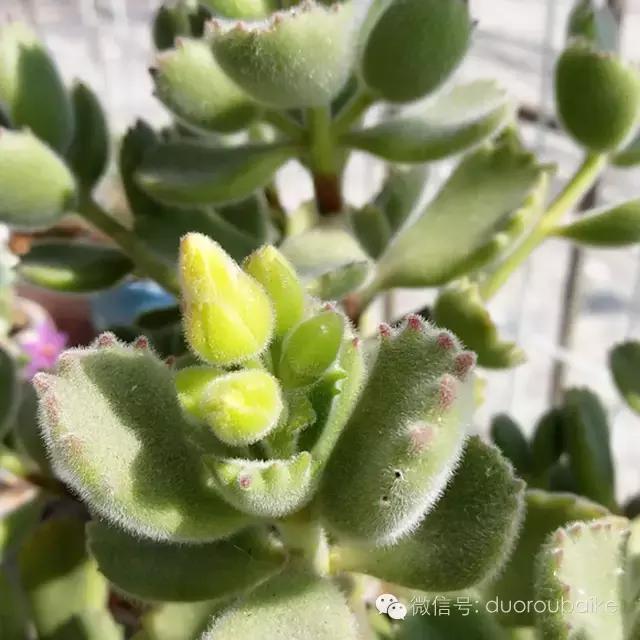 入坑就不能自拔,入坑后无法自拔