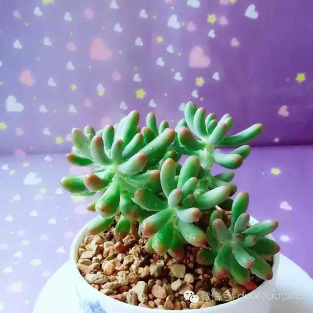 入坑就不能自拔,入坑后无法自拔