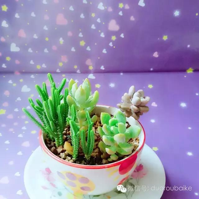 入坑就不能自拔,入坑后无法自拔