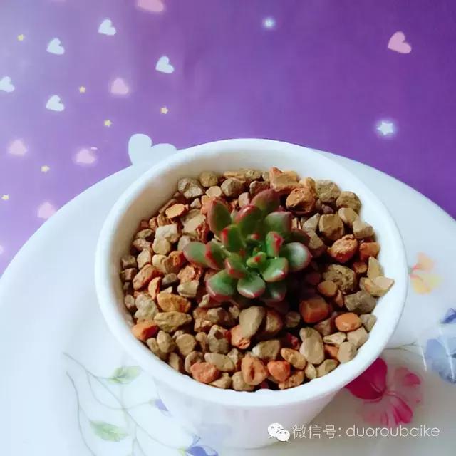 入坑就不能自拔,入坑后无法自拔