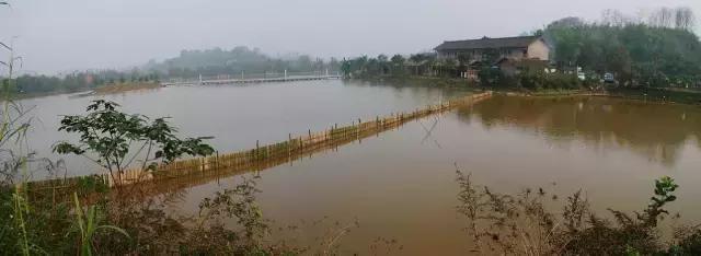 重庆周边钓鱼温泉看花的农家乐,重庆大学城附近包食宿的农家乐