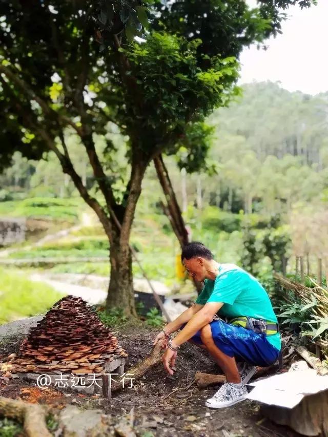 云霄县下河乡七高磜,去云霄不能错过的美食