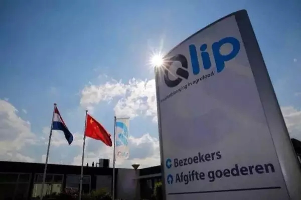 荷兰奶源为什么那么好,乳制品最好的是荷兰吗