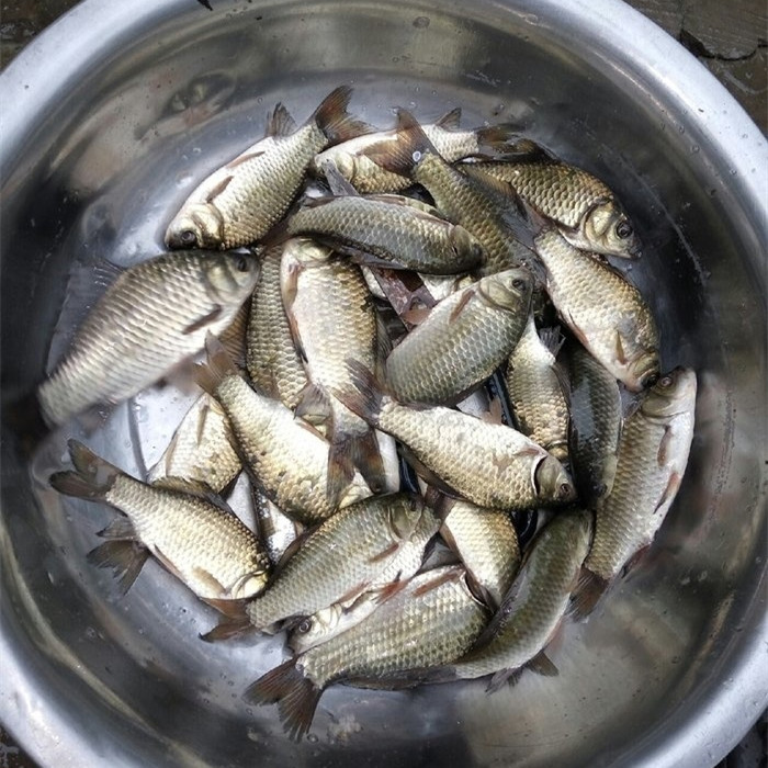 鱼儿并不会因为你用天价鱼竿而青睐于你!