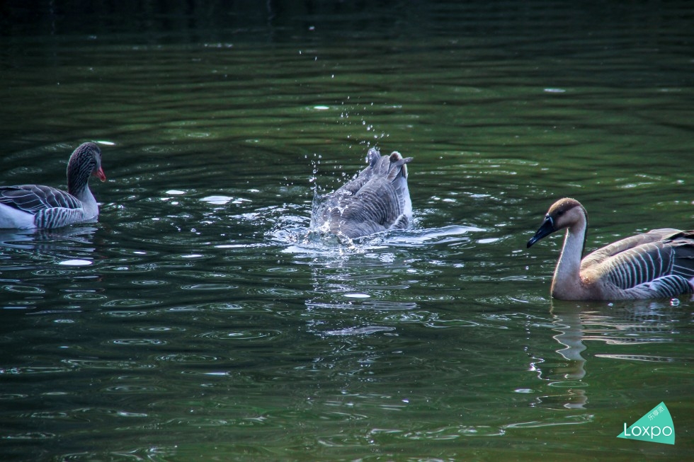 索尼a7详解,无关信仰唯有超越