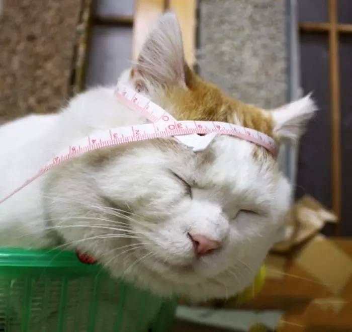 娃的衣服尺寸怎么选合适,给小孩买衣服真的是太难了