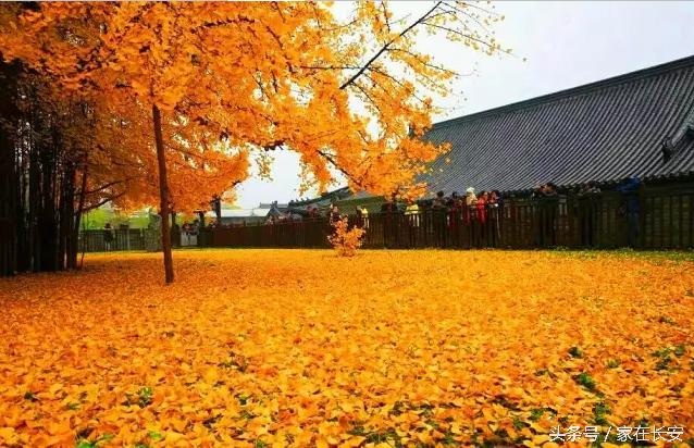 西安长安旅游怎么玩,西安长安游玩攻略