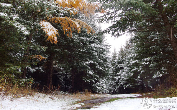 自驾游带什么东西最合适,自驾游必备物品清单自驾