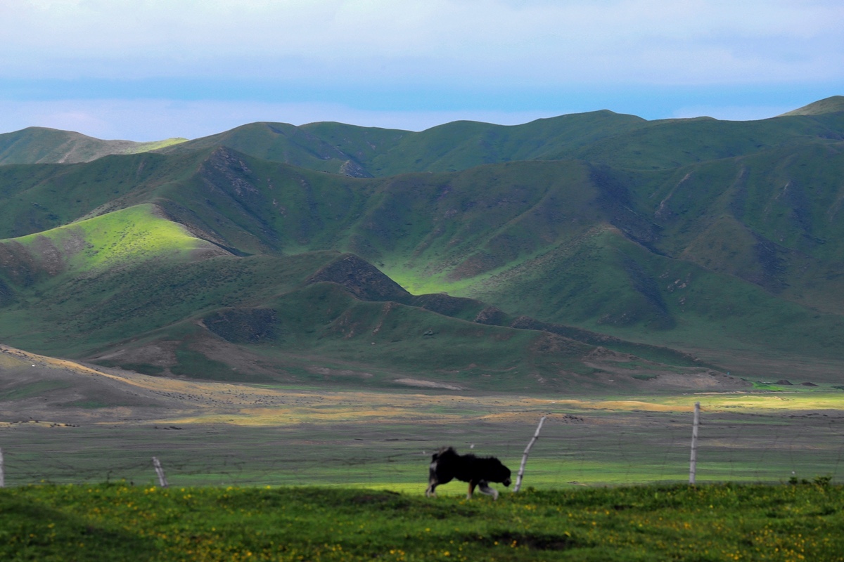 四川最深山神秘的古镇,四川最原始自然的村落