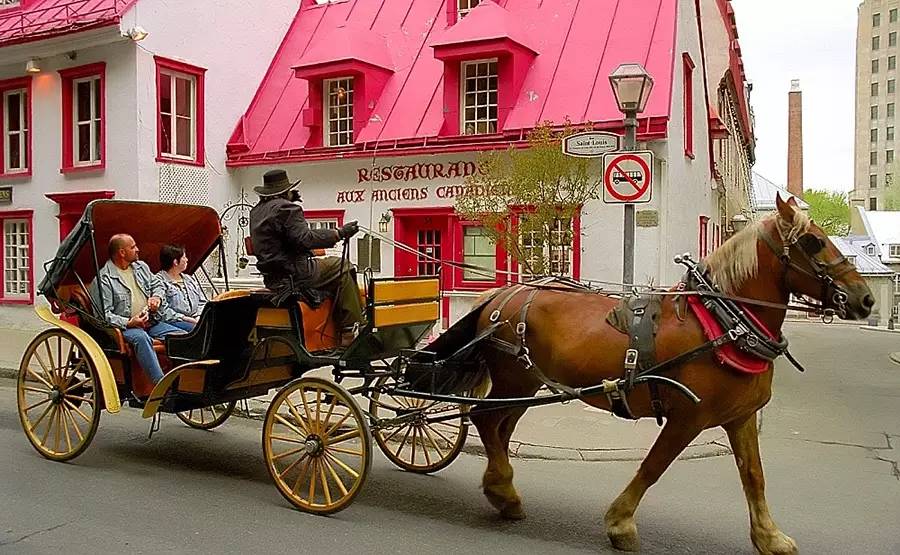 天堂原乡毛里求斯旅游攻略,毛里求斯旅游旅游团十大必去景点