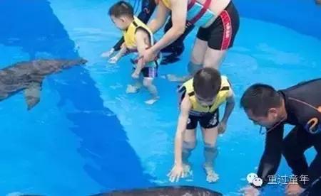 珠海长隆套票如何购买,珠海长隆官方优惠套票