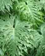 怎样知道自己家的财位在哪个位置,如何确定家里的财位在哪个位置