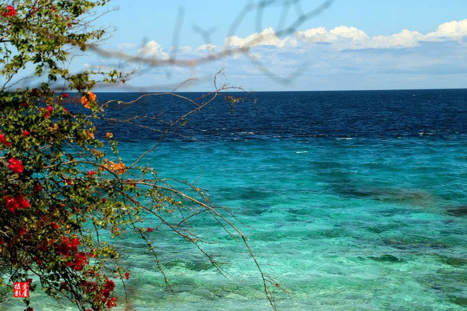 月薪3000的tiffany蓝钻岛