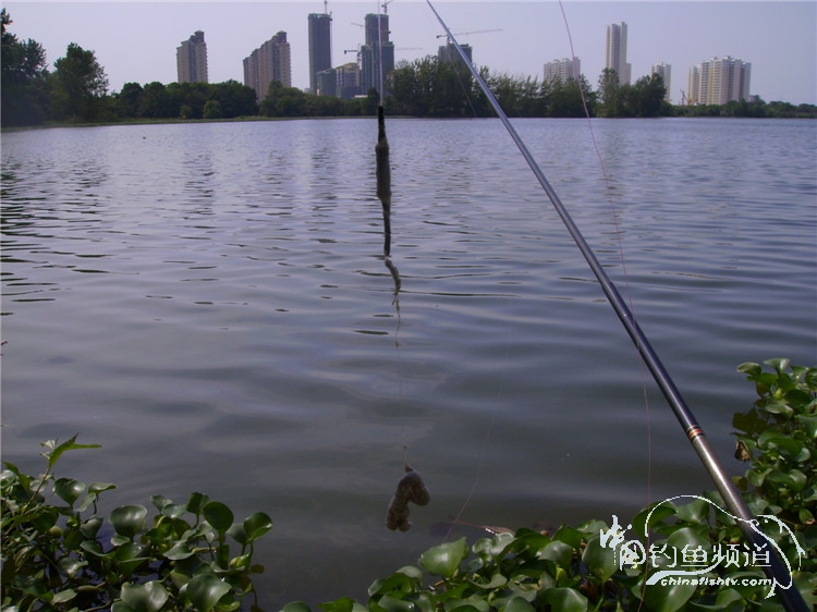 民间特色钓法,径河野钓地点